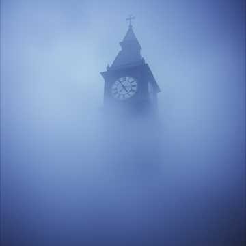 Image for The Crude Caress