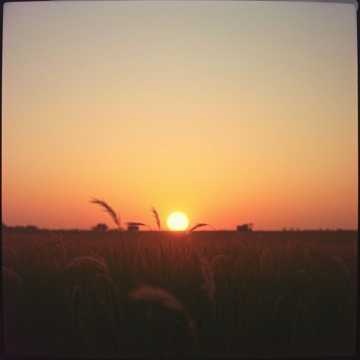 Image for Lantern Skies