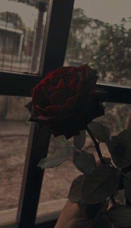 Roses are Red... artwork