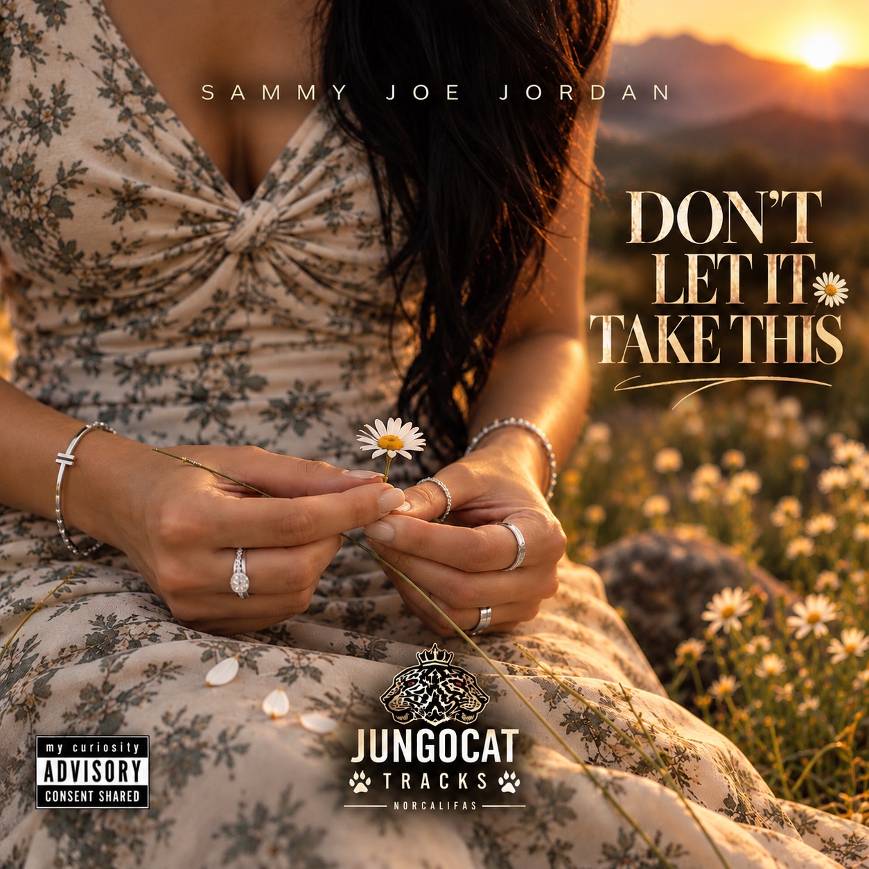 DON’T LET IT TAKE THIS artwork