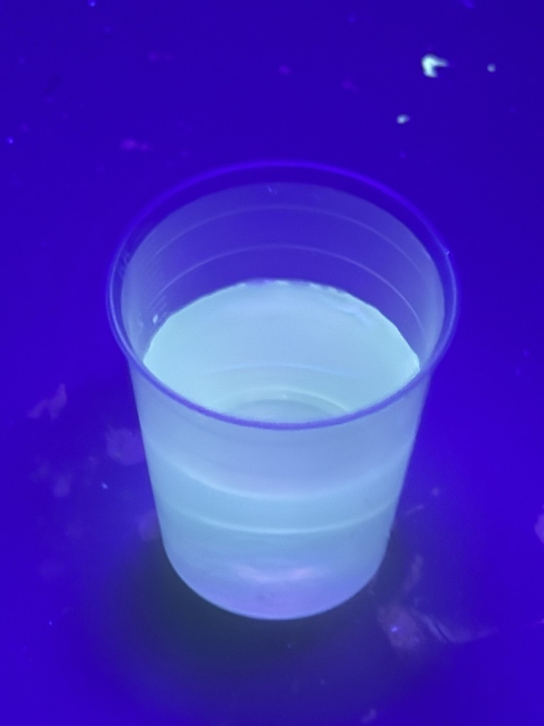 Bottoms Up artwork