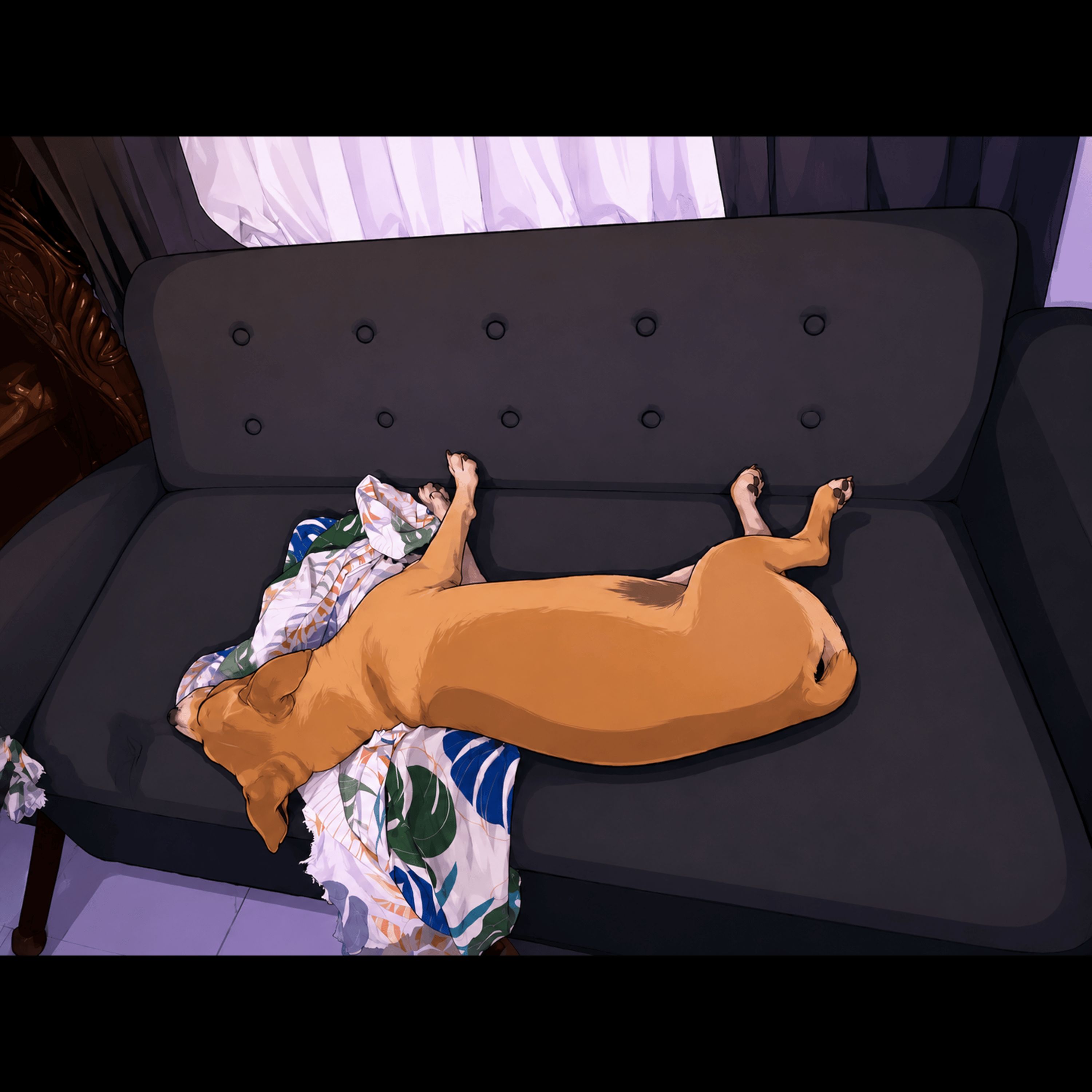 Dog 2
