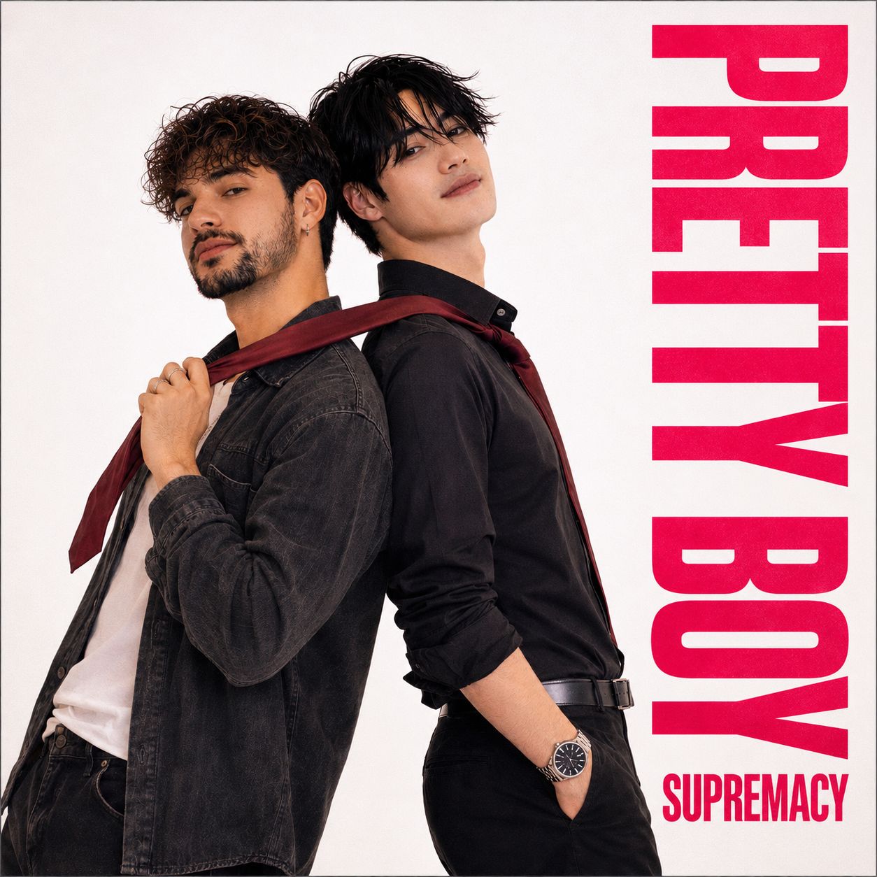 Pretty Boy Supremacy artwork