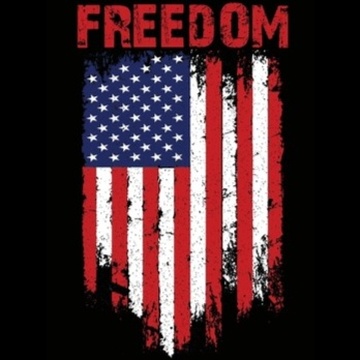 Image for Freedom