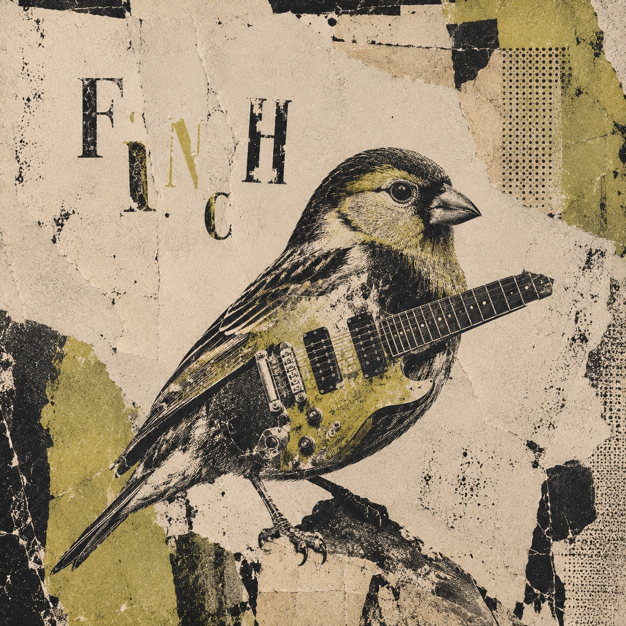 Finch artwork