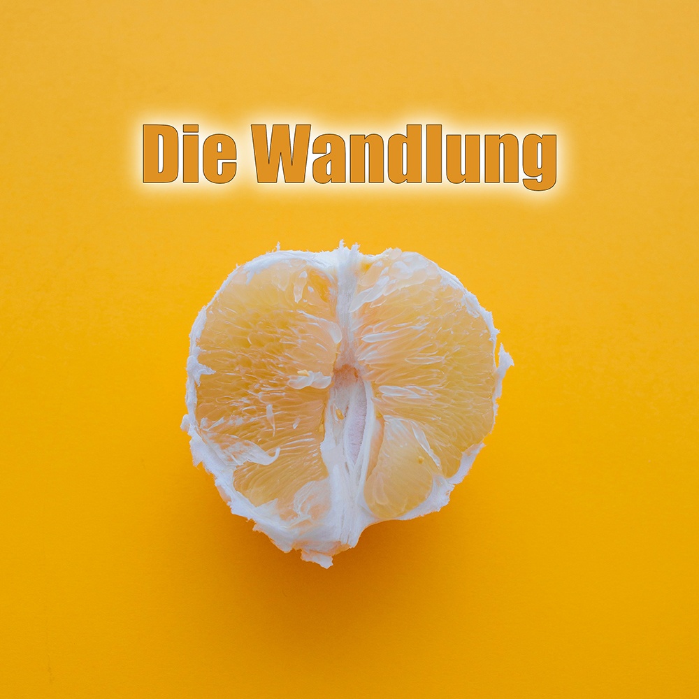 Die Wandlung artwork