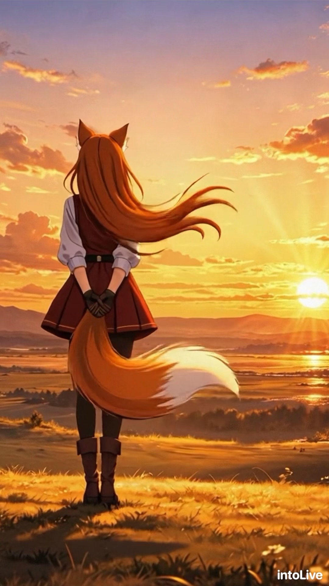 Final SwordImpact - Album zur Light Novel