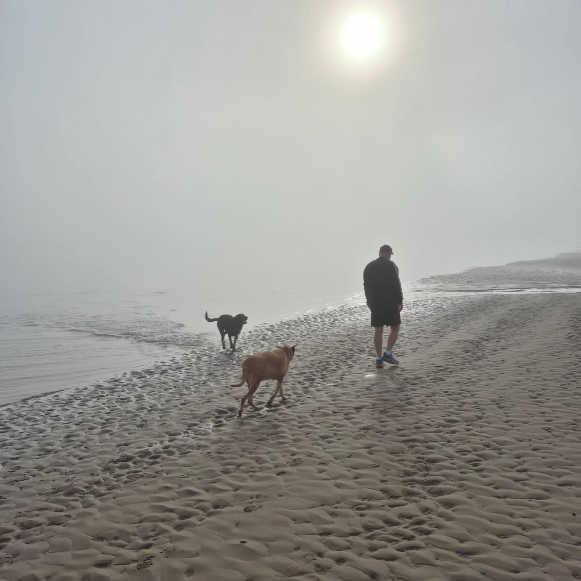 Profile picture for Must Be Malahide