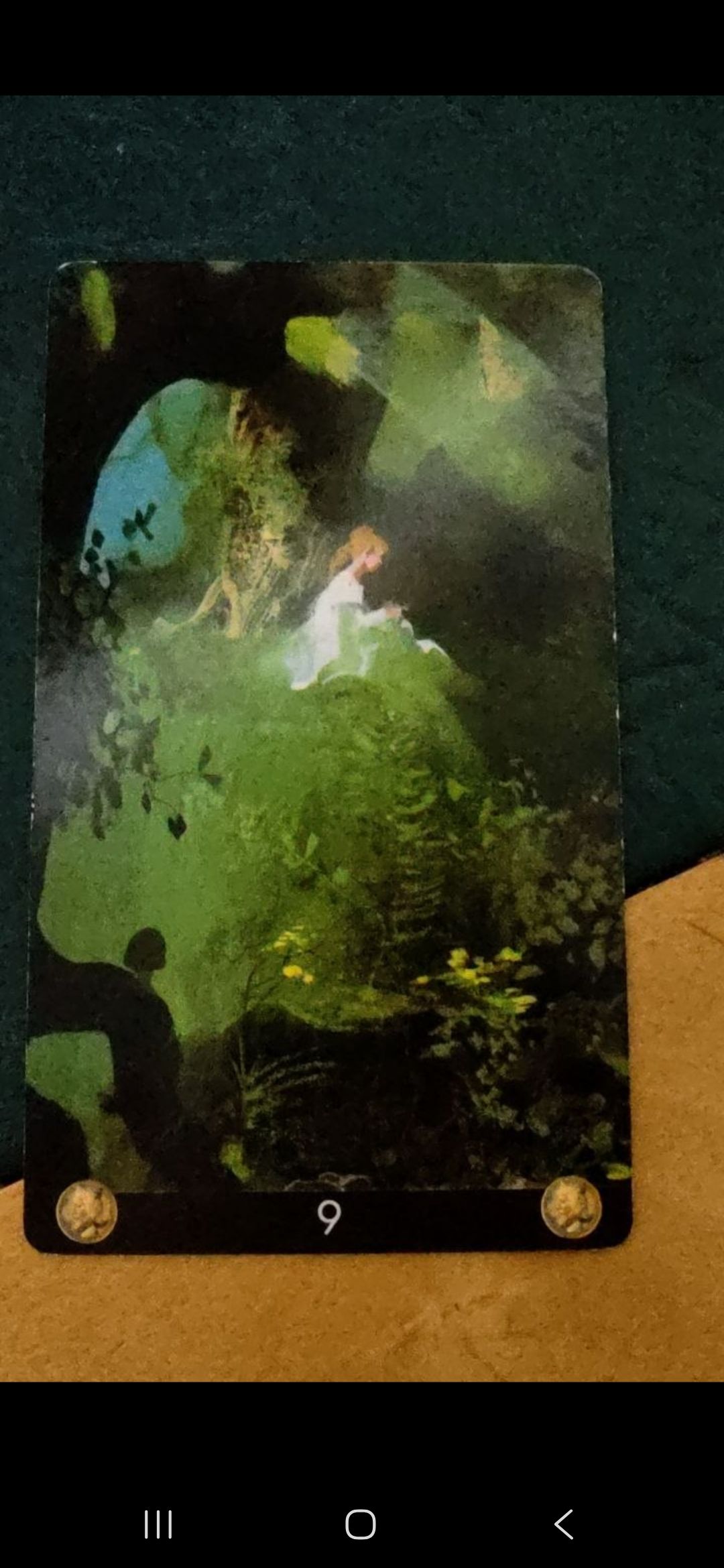 Спесь городов artwork