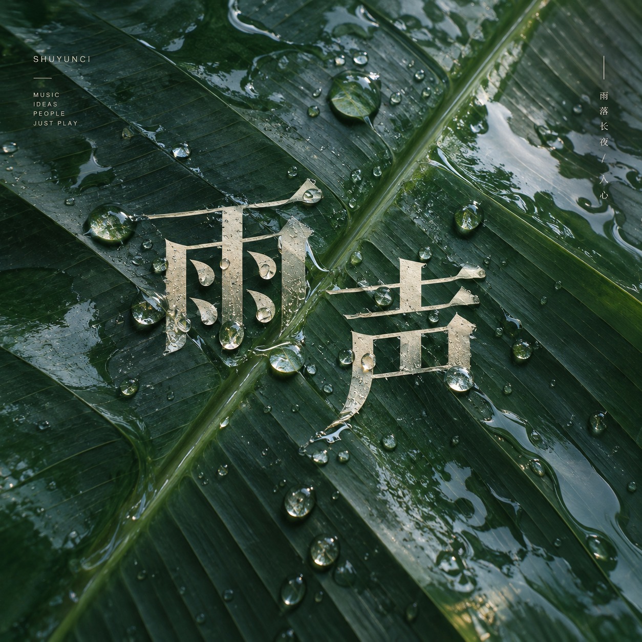 雨声 artwork