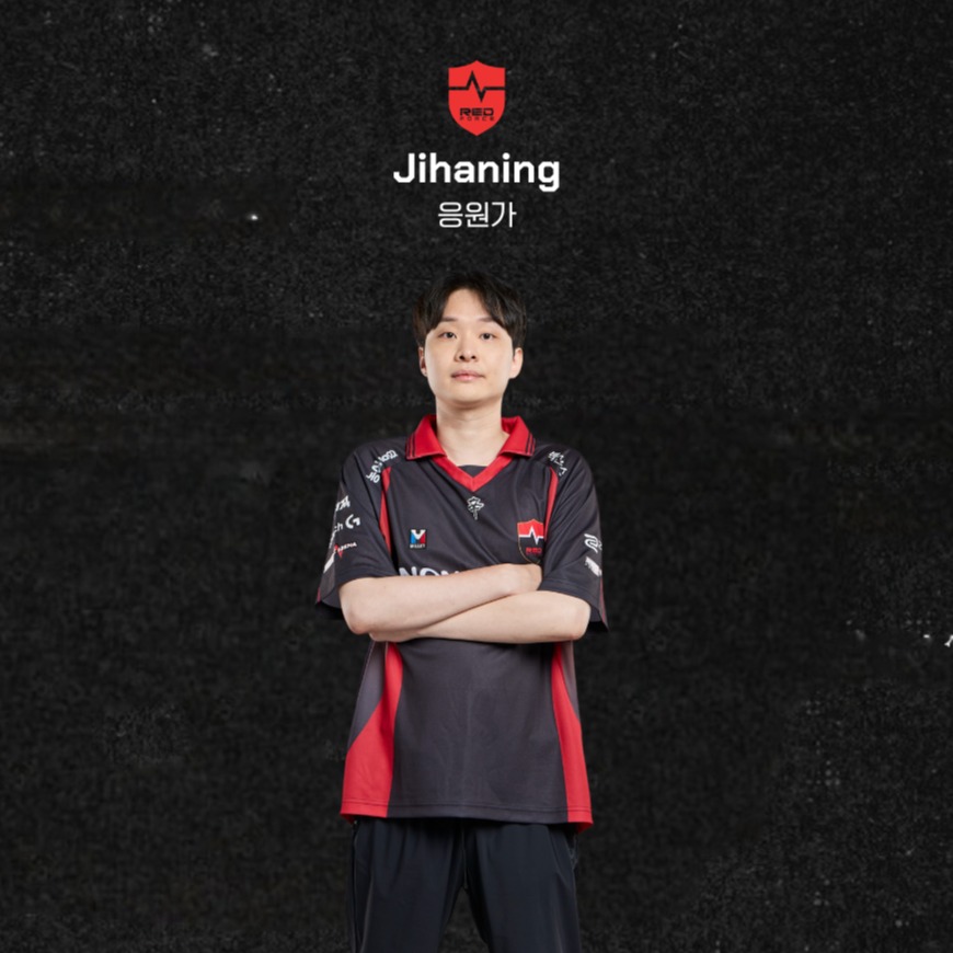 NS TFT jihaning 응원가 artwork