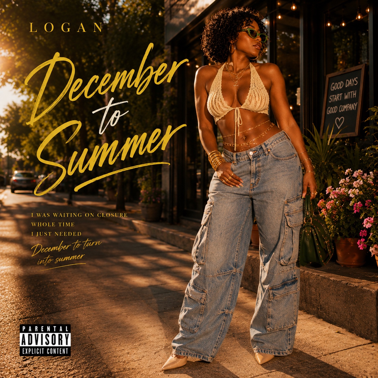 December to Summer artwork