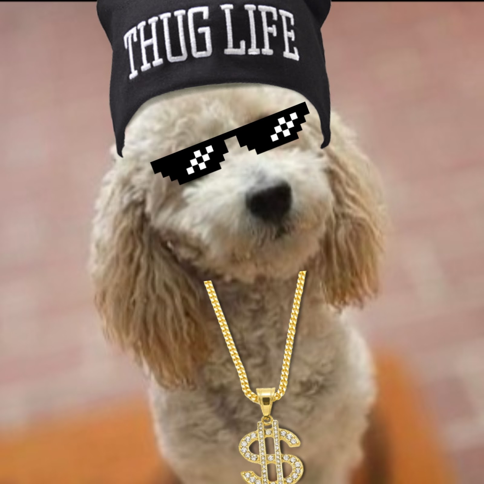 Song Cover Image