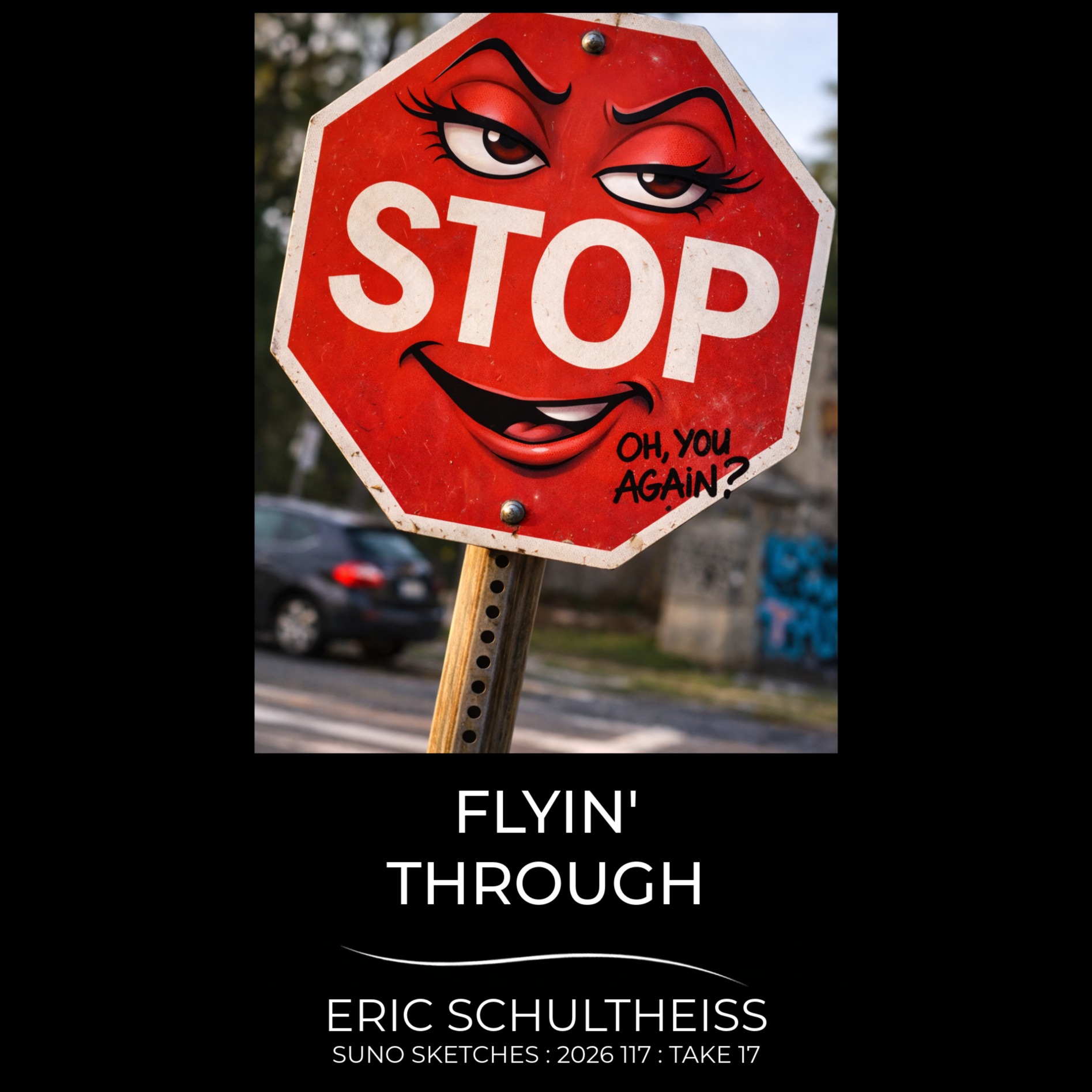 Flying Through artwork