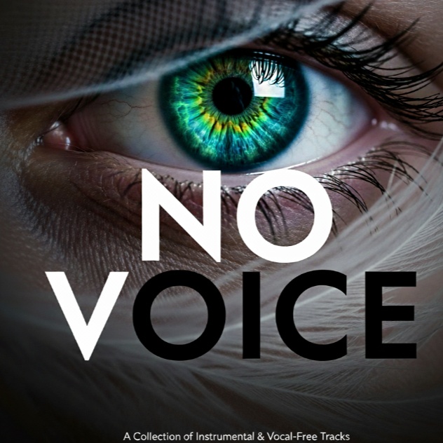 Image for no voice