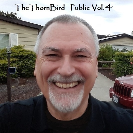 Image for TheThornBird Public Vol. 4