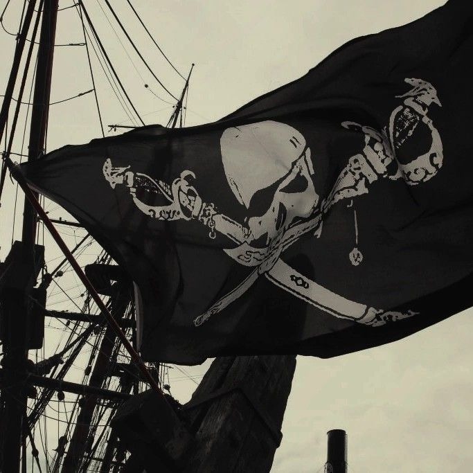 Black Flag Rising artwork