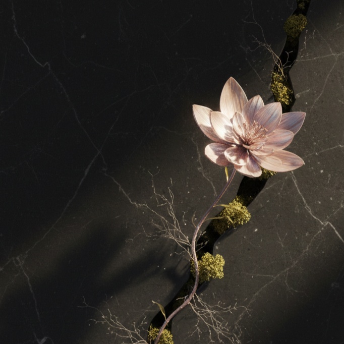 Image for January ' 26⫷Bianca Casta-Fiore⫸