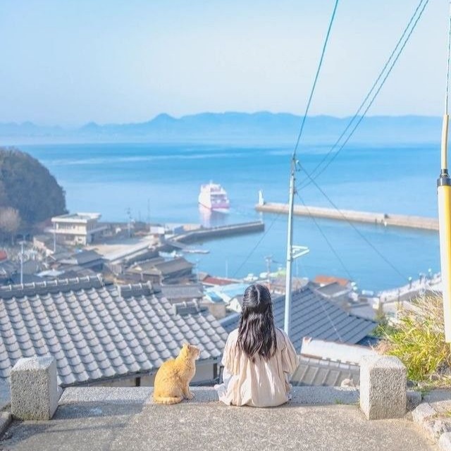 Image for 🌞 Neon & Barley Tea / ネオンと麦茶