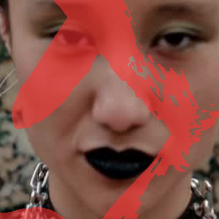 Image for You think your PUNK?