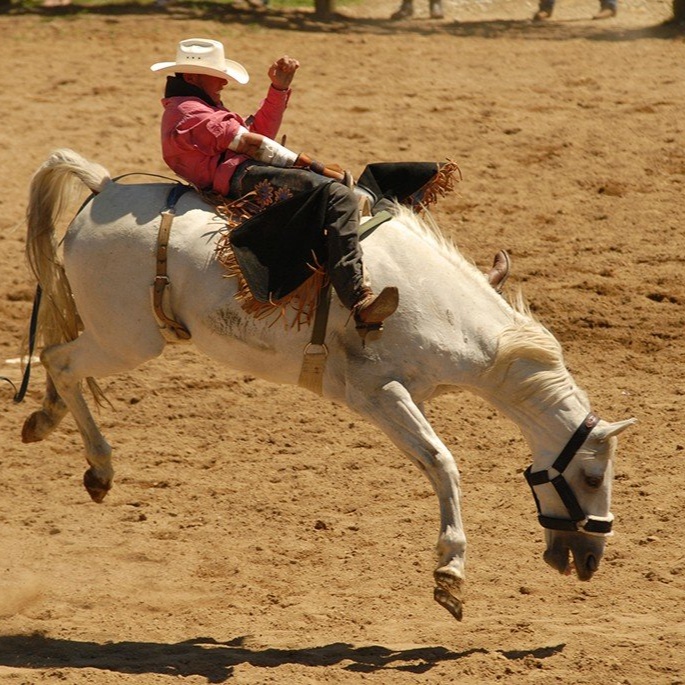 Rodeo artwork