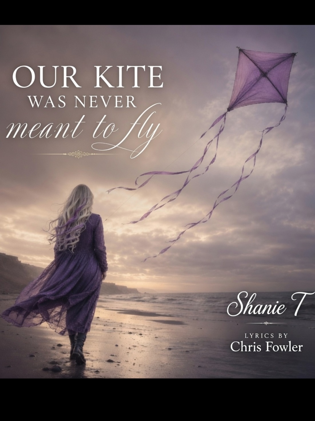 Our Kite was Never Meant to Fly artwork