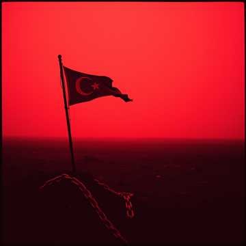 Image for Left In Disguise - War Album