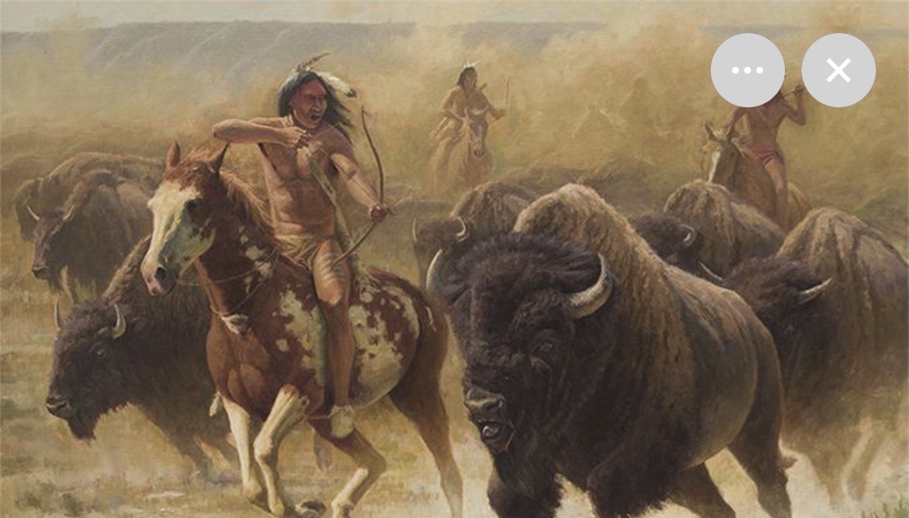 Chase the Thunder, Buffalo Hunt(Edith) artwork