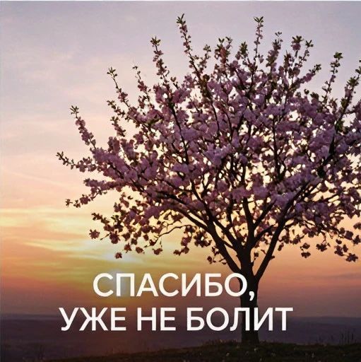 Спасибо, уже не болит... (Ремикс) artwork