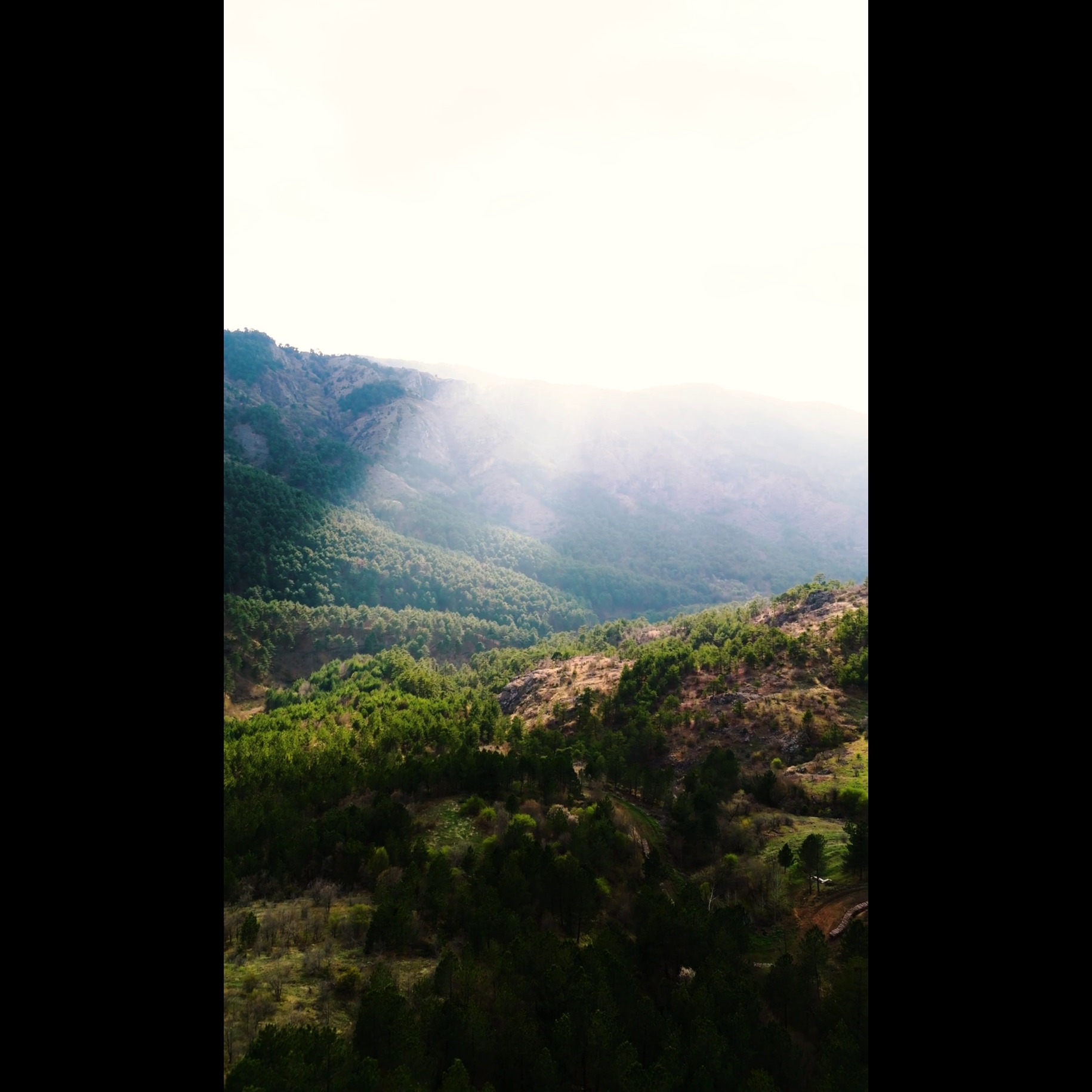 Even in the Valley - M v2 artwork