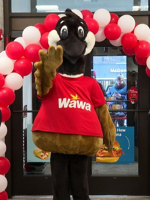 Image for Mascot Songs!