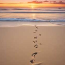 Image for INSTRUMENTAL