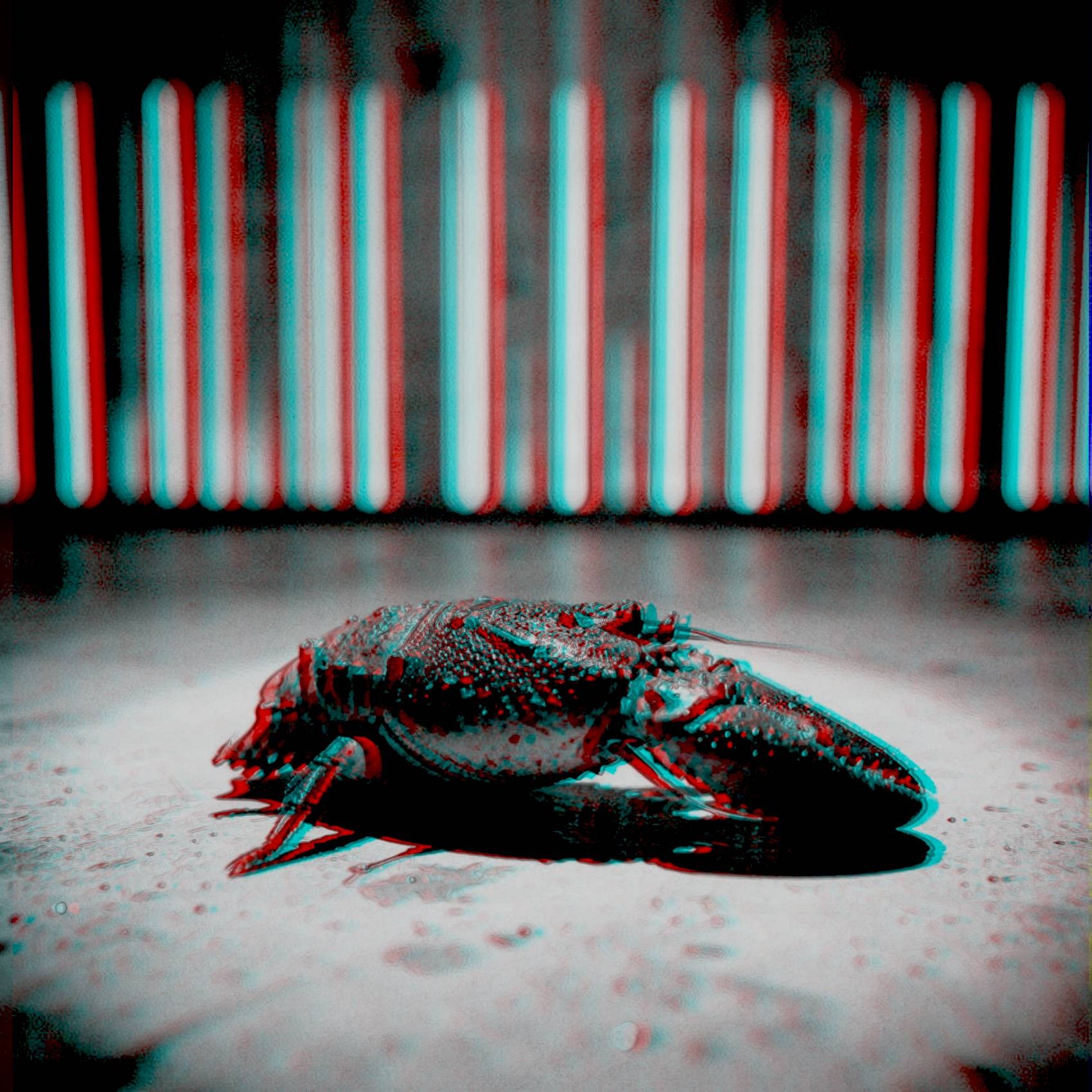 Song Cover Image