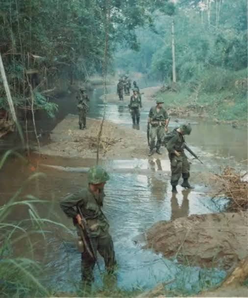 Midnight Lady (in a black dress) artwork