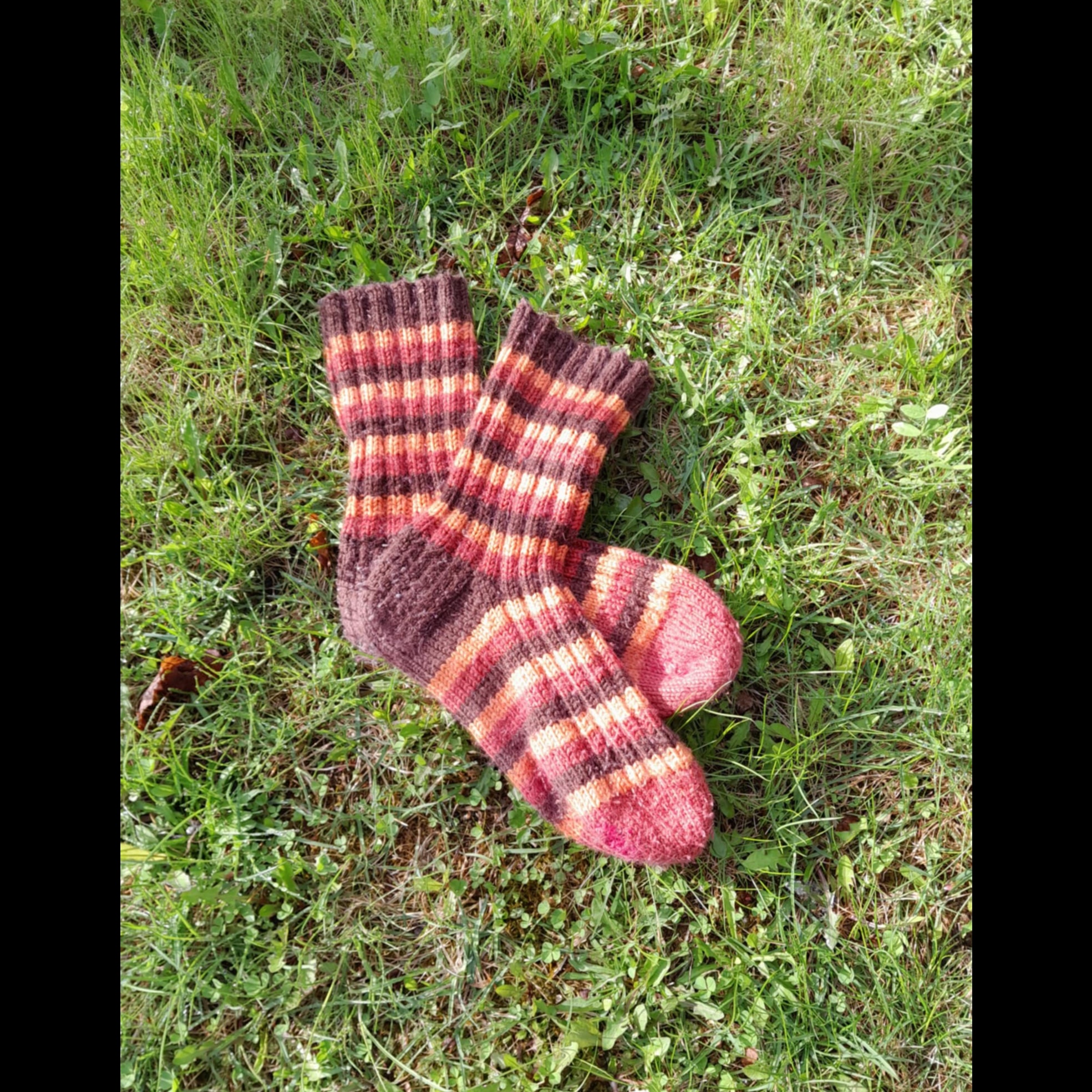 Pack a bag with humor and wool socks artwork
