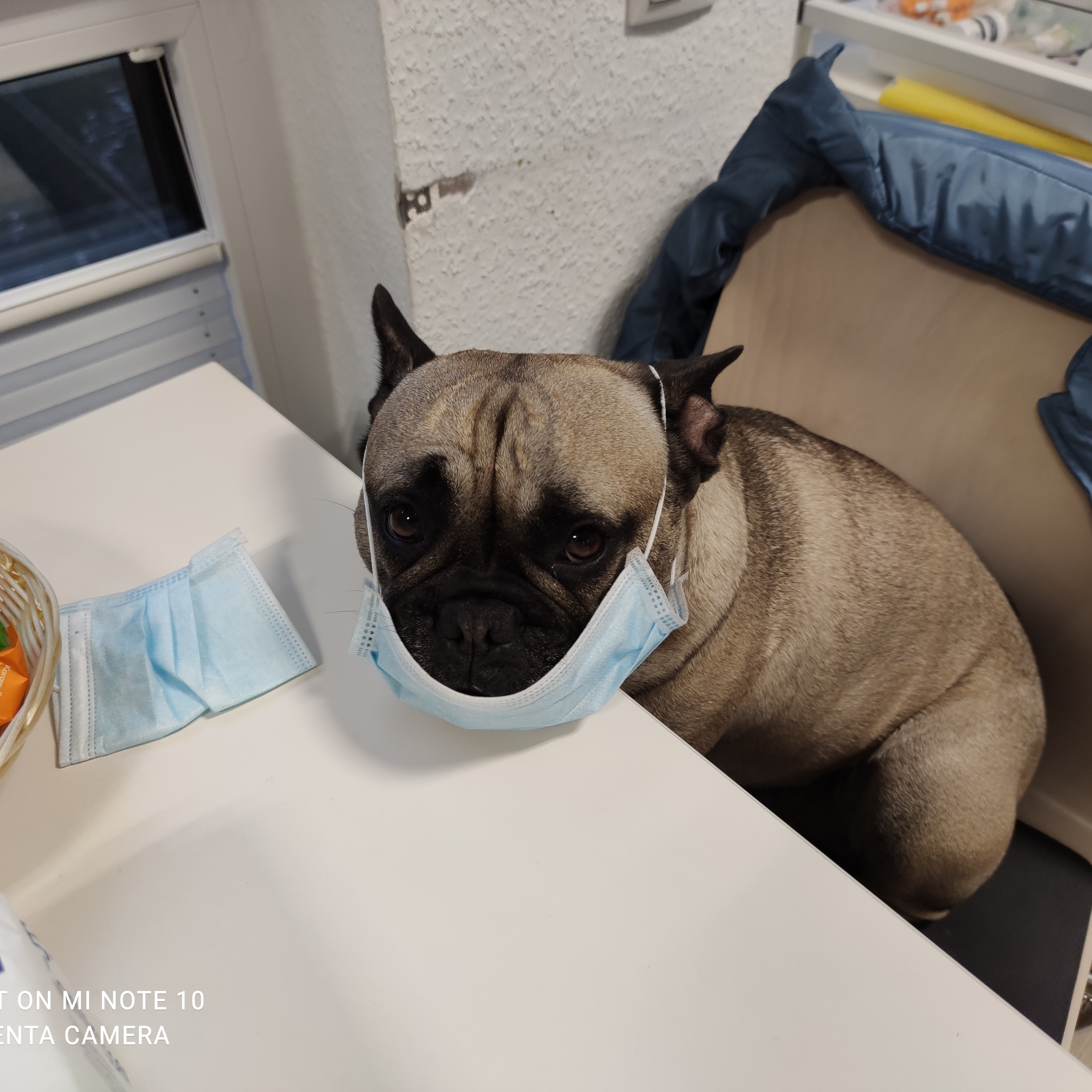 Image for Pflege mit Herz 