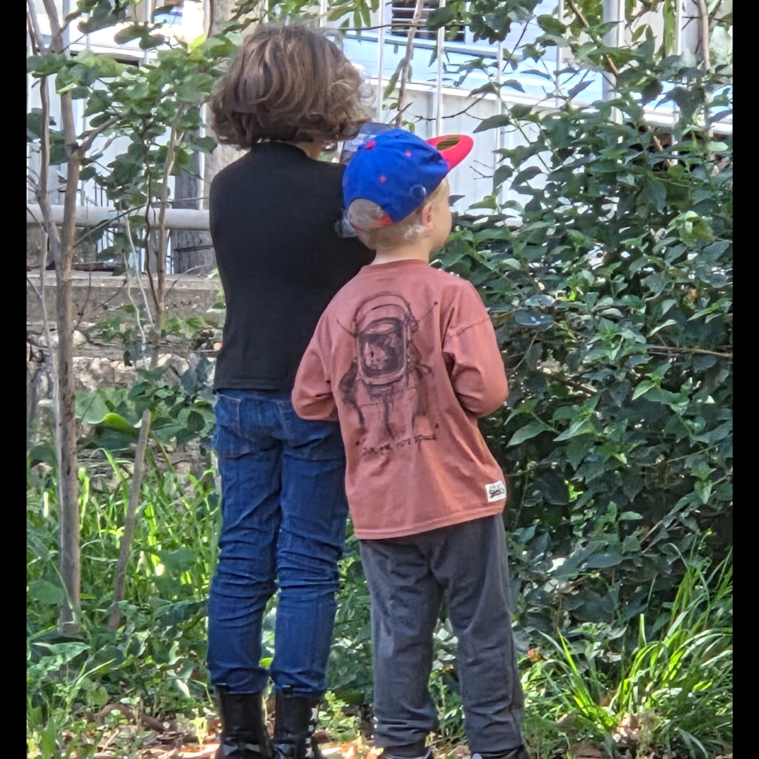 Persona image for adoring w negs