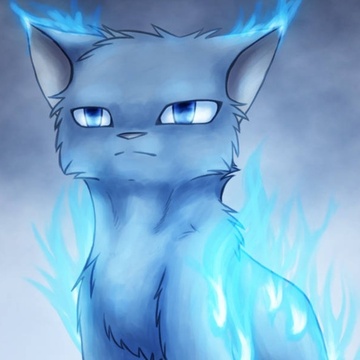 Image for Ventura Kitty Sped Up