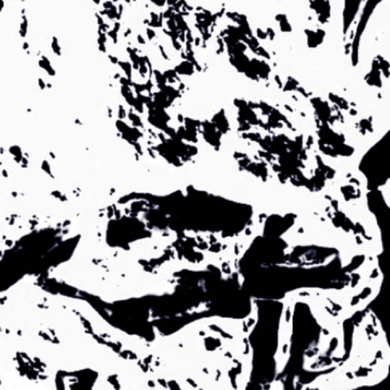 Image for SUИO ƎDM