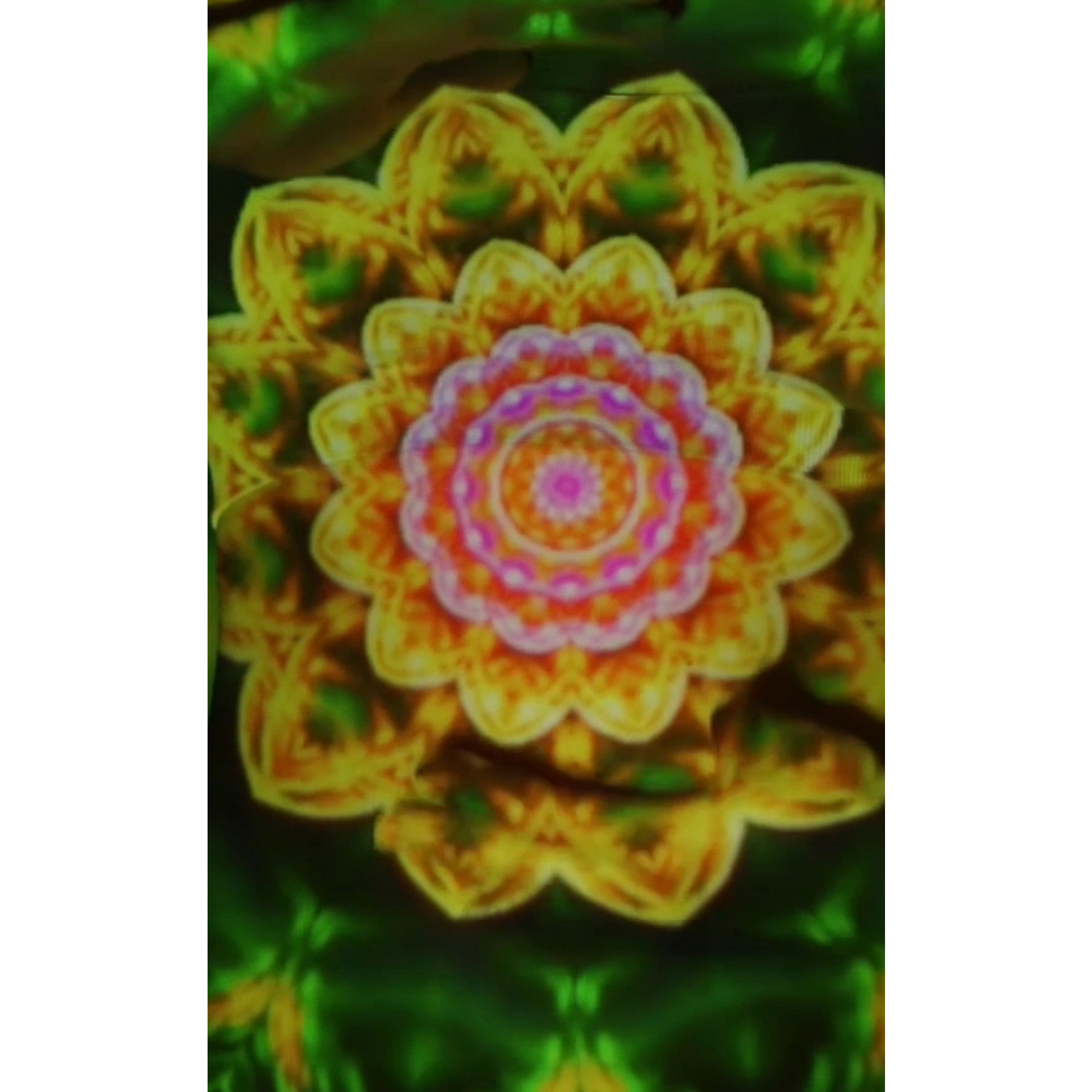 LENS SHIFT artwork