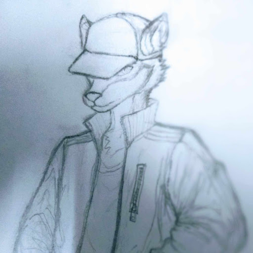 Profile picture for RobinRacolfBD24