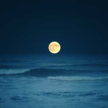 Image for 🪩｜KNEK ON the SET｜🪩2025/11/11