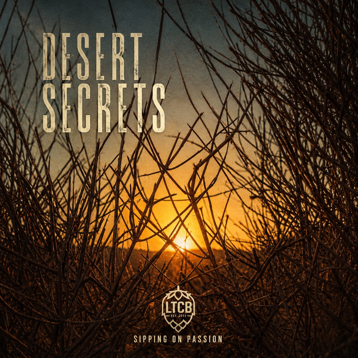 Whispers In The Desert 3