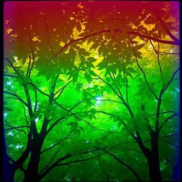 Image for Slapping Jam Plays The World