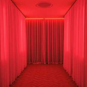 Image for Red Room Romps