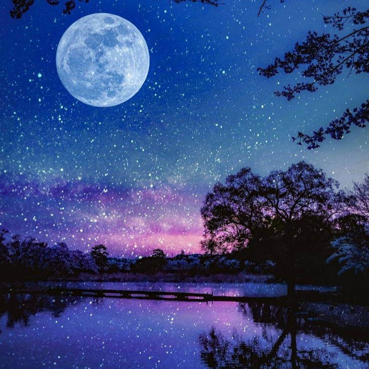 MOONLIT 2 artwork