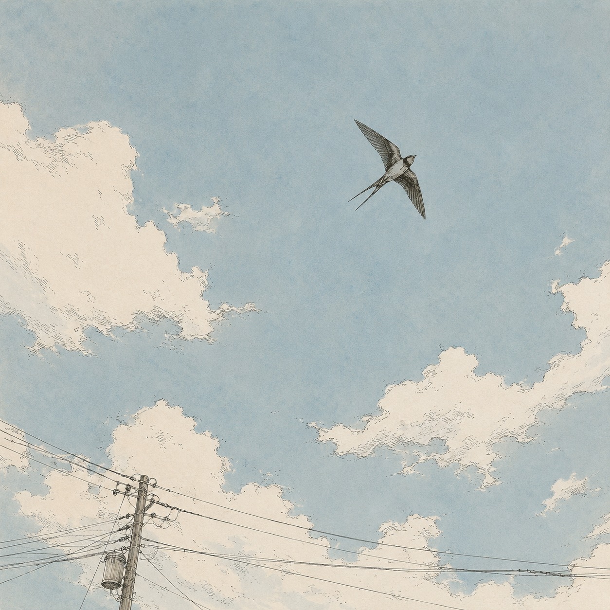 Swallow artwork