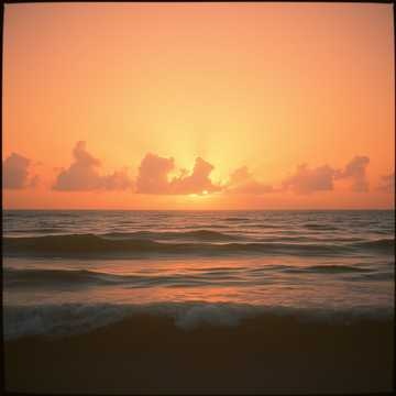 Image for Melodic House