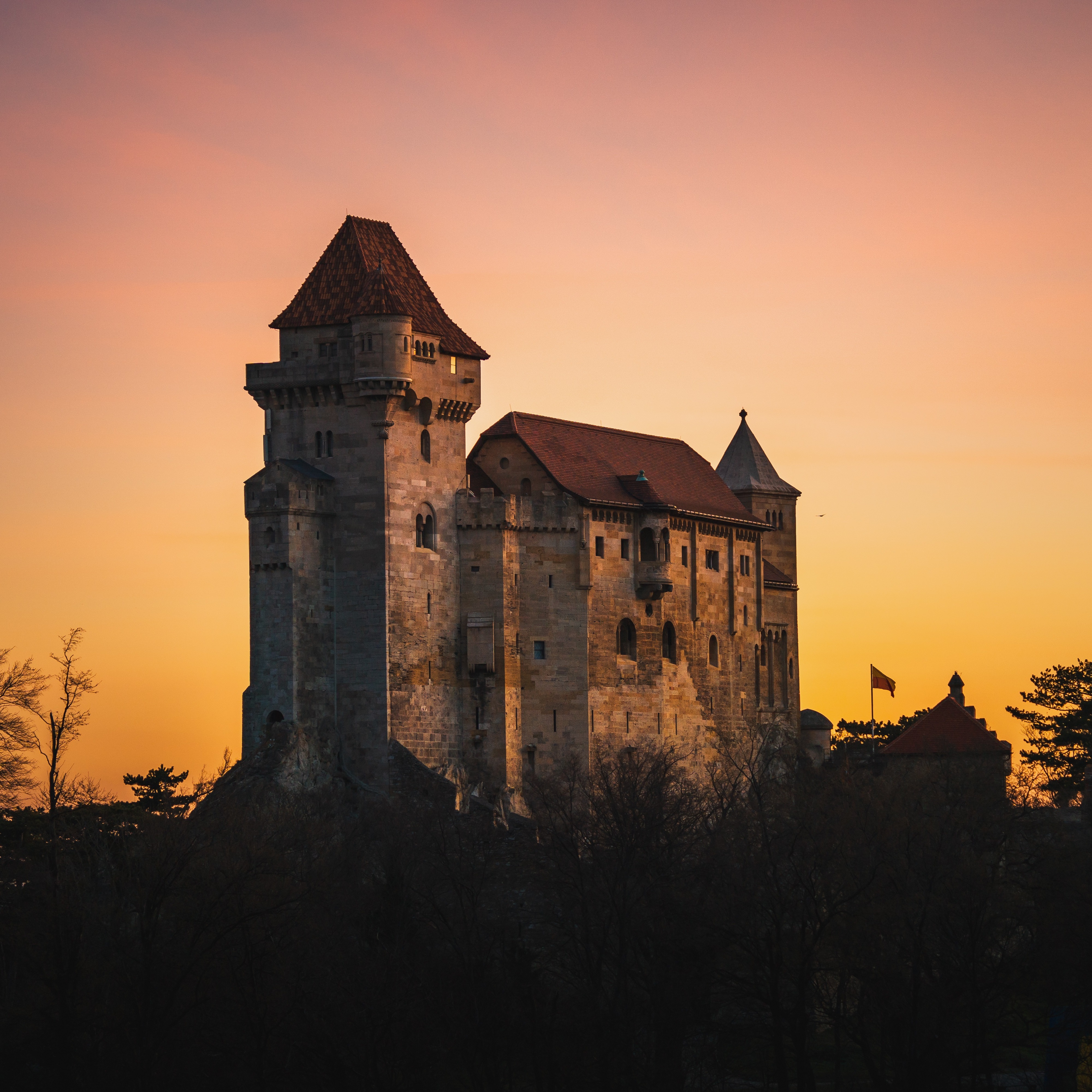 Image for Echoes of the Heart