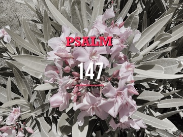 Persona image for Psalm147